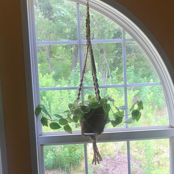 Handmade Macrame Plant Hanger - Picture 2 of 2